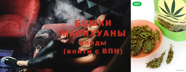 хмурый Арсеньев