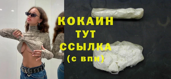 хмурый Арсеньев