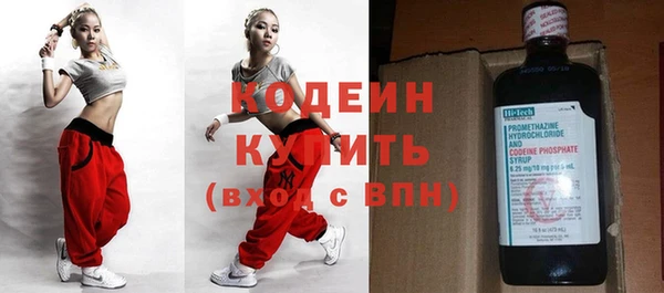 хмурый Арсеньев
