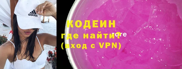 хмурый Арсеньев