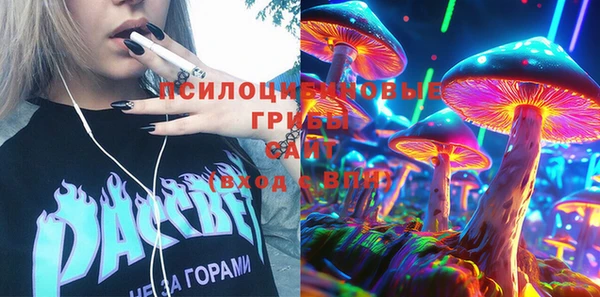 хмурый Арсеньев