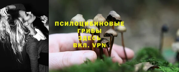 хмурый Арсеньев