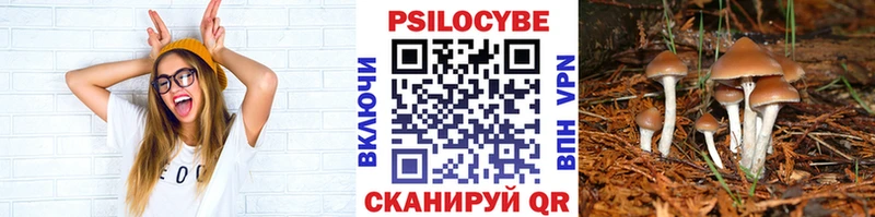 где купить наркоту  Артёмовский  Псилоцибиновые грибы MAGIC MUSHROOMS 