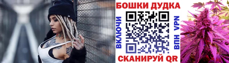 Каннабис план Артёмовский